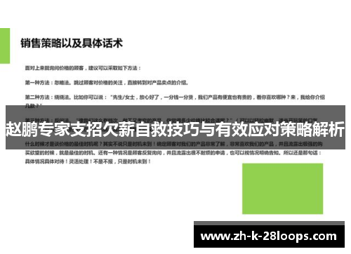 赵鹏专家支招欠薪自救技巧与有效应对策略解析
